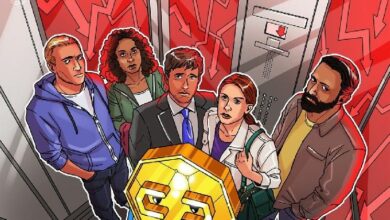 انخفاض حاد لـ SIREN بنسبة 70% بعد تحذيرات المحللين من تركيز الملكية