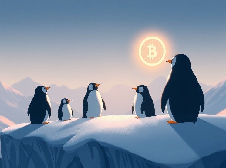 إيداع Pudgy Penguins مبلغ 3.12 مليون دولار من PENGU في Binance: تحليل خطوة الخزينة الاستراتيجية