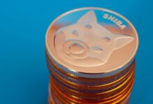 عتبة تدفق 200 مليار عملة شيبا إينو (SHIB) إلى البورصات قريبة للغاية: ارتفاع ملحوظ خلال 24 ساعة