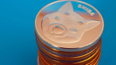 عتبة تدفق 200 مليار عملة شيبا إينو (SHIB) إلى البورصات قريبة للغاية: ارتفاع ملحوظ خلال 24 ساعة