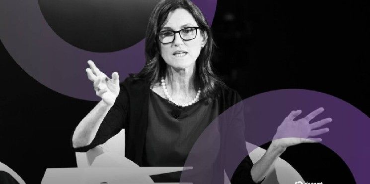 "أرك إنفست" لـ كاثي وود تتخلص من أسهم ميتا وإنفيديا وصندوق بيتكوين ETF في تصفية كبرى للاستثمارات التكنولوجية