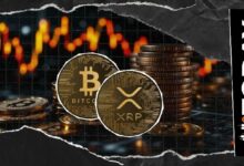XRP مقابل البيتكوين: كيف قد يؤدي فشل إعادة الاختبار هذا الأسبوع إلى هبوط 64%
