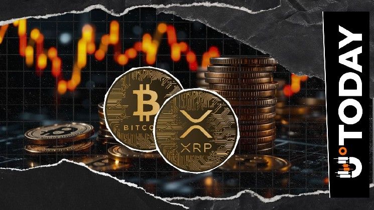 XRP مقابل البيتكوين: كيف قد يؤدي فشل إعادة الاختبار هذا الأسبوع إلى هبوط 64%