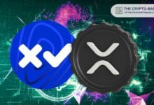 مؤسس Xaman يحذر مستخدمي XRP: "لا يوجد إضافة متصفح من Xaman" مع ظهور إضافات مزيفة
