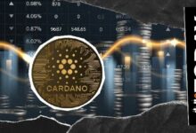 ليس الجسور: مطورو كاردانو يسلطون الضوء على رؤية السحب المباشر للأموال