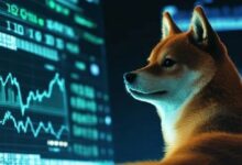 شيبا إينو تقترب من مفترق طرق فني مع اقتراب المتوسط المتحرك لـ 50 يومًا