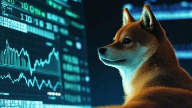 شيبا إينو تقترب من مفترق طرق فني مع اقتراب المتوسط المتحرك لـ 50 يومًا