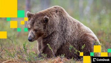 شركات العملات الرقمية تُسرِّح مئات الموظفين خلال أسابيع مُلقية اللوم على ضعف الأسواق وصعود الذكاء الاصطناعي