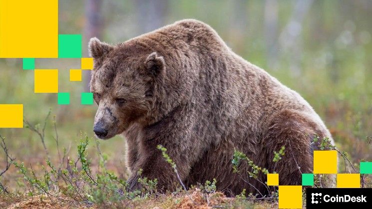 شركات العملات الرقمية تُسرِّح مئات الموظفين خلال أسابيع مُلقية اللوم على ضعف الأسواق وصعود الذكاء الاصطناعي