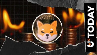 حرق شيبا إينو 4 ملايين SHIB بينما يظل العرض ثابتًا عند 589 تريليون: هل سيتفاعل السعر؟