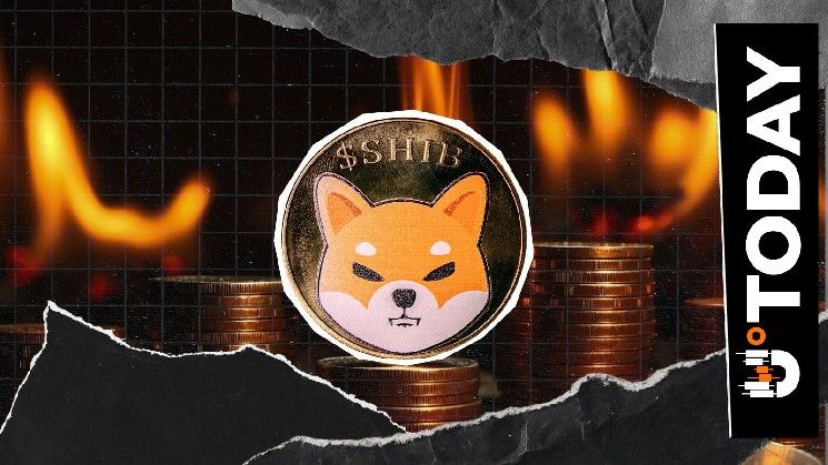 حرق شيبا إينو 4 ملايين SHIB بينما يظل العرض ثابتًا عند 589 تريليون: هل سيتفاعل السعر؟