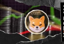 شيبا إينو تسجل تدفقًا صافيًا سلبيًا بقيمة 131 مليار: مؤشر على ارتفاع الطلب في سوق العملات المشفرة