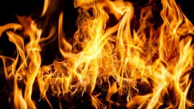 ريبل تواصل حرق ريبل دولار المستقر (RLUSD).. ما السبب؟