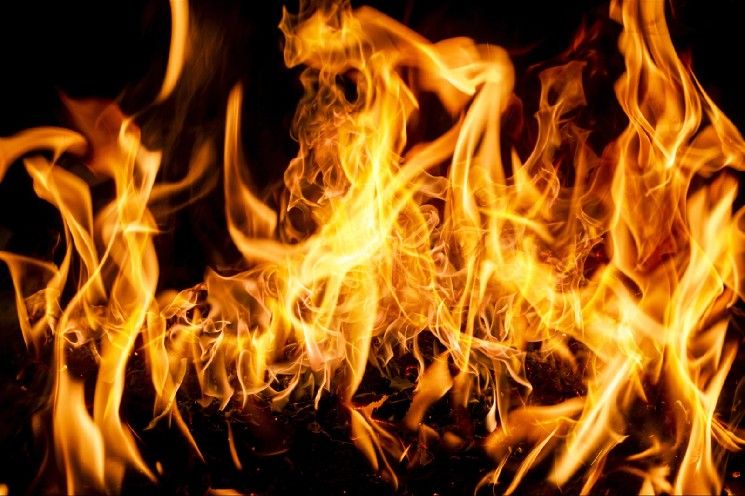 ريبل تواصل حرق ريبل دولار المستقر (RLUSD).. ما السبب؟