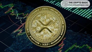 خبير يحذر: الاحتفاظ بـ XRP يمول شركة تفضل مساهميها على حاملي العملة