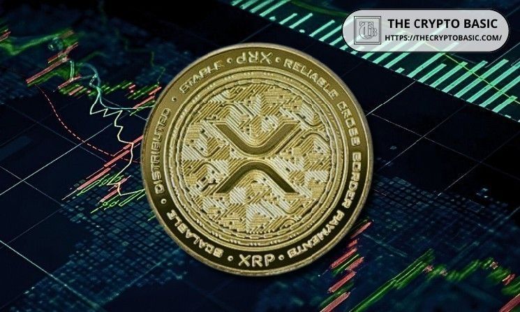 خبير يحذر: الاحتفاظ بـ XRP يمول شركة تفضل مساهميها على حاملي العملة