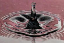 رفع ريبل 500 مليون دولار وعلاقاتها المؤسسية تحافظ على ثبات إكس آر بي بقوة