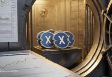 شبكة XDC (XDC) تختبر زخمها: تحرر من المقاومة أم مواجهة لها؟