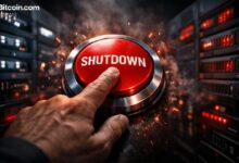 شبكة وكلاء مُحطمة: 369,000 راوتر مخترق تُعطّل في ضربة لمخطط احتيال بتشفير العملات