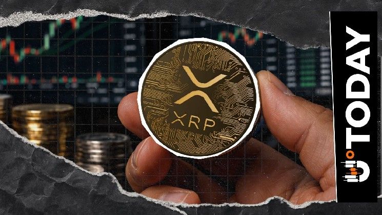 "XRP صُمم لأكثر من ذلك": إيفرنورث تستهدف تريليونات الدولارات في البنوك العالمية باستخدام دفتر الأستاذ لـ XRP