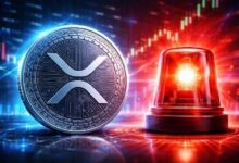 أجراس الإنذار تدق لصالح XRP! إليك البيانات والمستويات الحاسمة