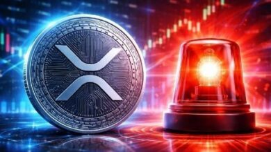 أجراس الإنذار تدق لصالح XRP! إليك البيانات والمستويات الحاسمة