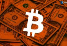 تراكم 600,000 بيتكوين خلال الانخفاض الأخير في السوق