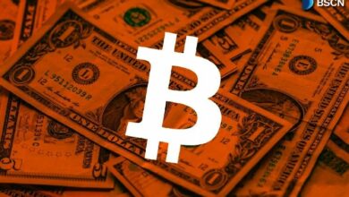 تراكم 600,000 بيتكوين خلال الانخفاض الأخير في السوق