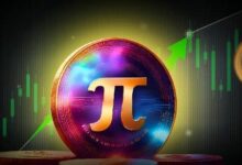 شبكة باي تطلق منصة إطلاق الرموز على شبكة الاختبار