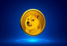 محلل: تجاهل الضجيج.. دوجكوين لا يزال في المنافسة وهذه الأسباب