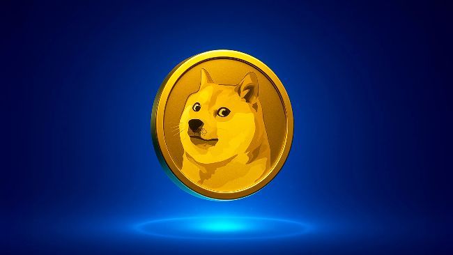 محلل: تجاهل الضجيج.. دوجكوين لا يزال في المنافسة وهذه الأسباب