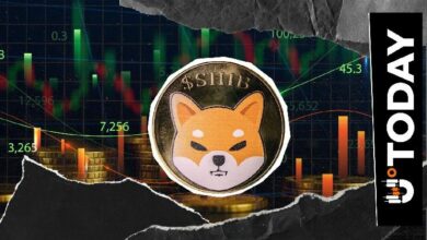 انخفاض مراكز البيع على شبيه الدوج (SHIB) خلال 4 ساعات مع استعادة السعر عافيته