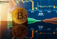 يد الماس تنتصر: 85% من حاملي البيتكوين صمدوا خلال انخفاض فبراير