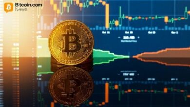 يد الماس تنتصر: 85% من حاملي البيتكوين صمدوا خلال انخفاض فبراير