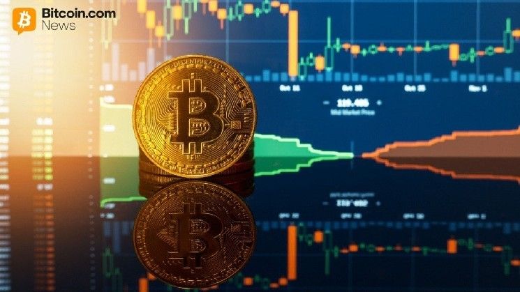 يد الماس تنتصر: 85% من حاملي البيتكوين صمدوا خلال انخفاض فبراير