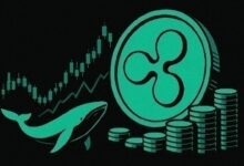 كشف استثنائي: بيانات غير مسبوقة تظهر في تاريخ XRP لأول مرة!