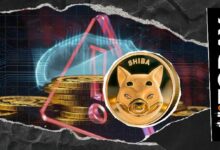 إنذار لمجتمع شيبا إينو: اختراق حساب أحد المشاركين على وسائل التواصل الاجتماعي