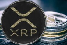 ادعاء حاسم من خزينة XRP: "الحكم الأخير في الولايات المتحدة هو الأنسب لـ XRP"