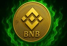 سعر BNB سيتجاوز 3000 دولار؟ خطة تاجر لعملة رقمية لتحقيق صعود 500%
