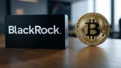 بلاك روك تكشف تركيز المستثمرين: "البيتكوين (BTC) وهذا البديل فقط.. والباقي بلا فائدة"