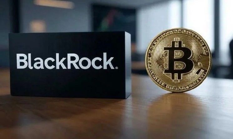 بلاك روك تكشف تركيز المستثمرين: "البيتكوين (BTC) وهذا البديل فقط.. والباقي بلا فائدة"