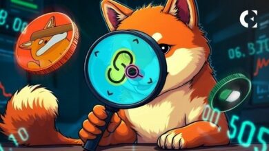 بعد هجوم هندسة اجتماعية: حجم تداول BONKfun يصل إلى 34 مليون دولار