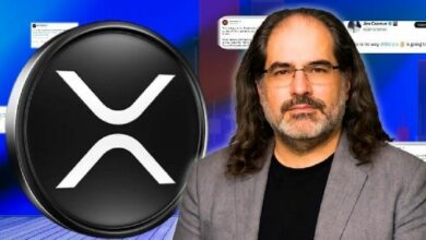 رئيس التقنية في ريبل: انخفاض سعر XRP إلى 0.20 دولار بعد وصوله إلى 4 دولارات "مستبعد لكنه ليس مستحيلاً"