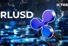 عملة RLUSD من Ripple وعملة XRP تتصدران قوائم التبرعات الرقمية