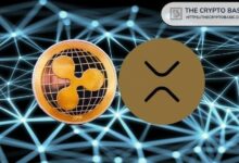 لعبة ريبل طويلة المدى: ودائع XRP المؤمّنة، الصفقات المؤسسية وصدمة الطرح العام المحتملة