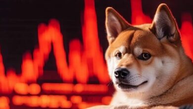 انخفاض سعر شيبا إينو 4% وسط عمليات بيع جماعي للعملات الرقمية مع وصول مؤشر الخوف إلى 14