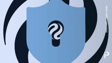 هاكر أخلاقي يتهم إنجكتيف بالتجاهل بعد الكشف عن ثغرة أمنية بقيمة 500 مليون دولار