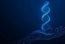 CoinFello تطلق ميزة OpenClaw لإجراء معاملات العملات المشفرة مدعومة بالذكاء الاصطناعي