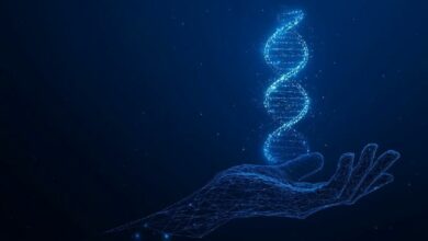 CoinFello تطلق ميزة OpenClaw لإجراء معاملات العملات المشفرة مدعومة بالذكاء الاصطناعي