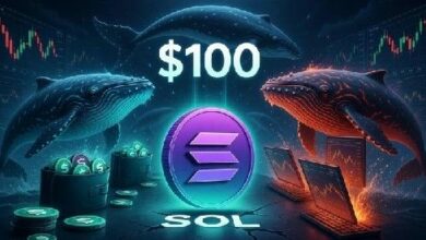 سعر سولانا يتطلع إلى 100 دولار مع امتصاص المشترين الفعليين لضغوط البيع في المشتقات